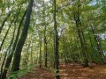 Bild07
