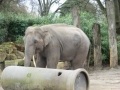 zoohd8.JPG